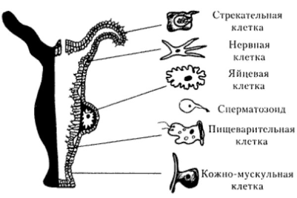 Кракен маркет наркотики